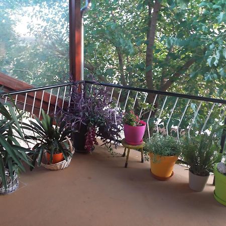 Apartmani Corleone Bilice Exteriör bild