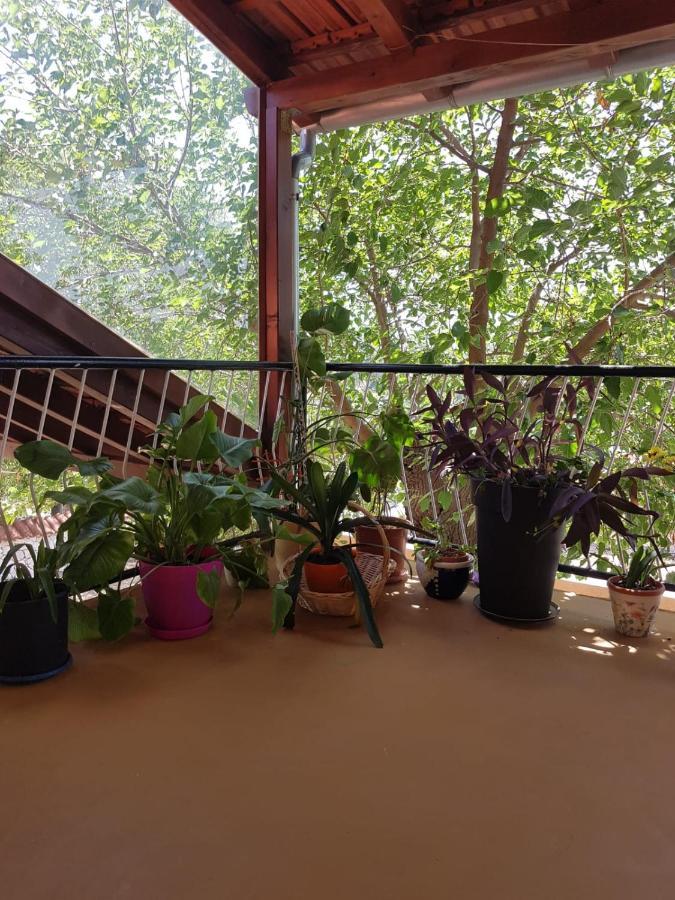 Apartmani Corleone Bilice Exteriör bild